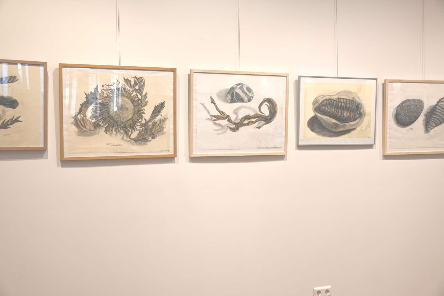 Expositie Laren Koos Koopmans Fotografie en grafiek