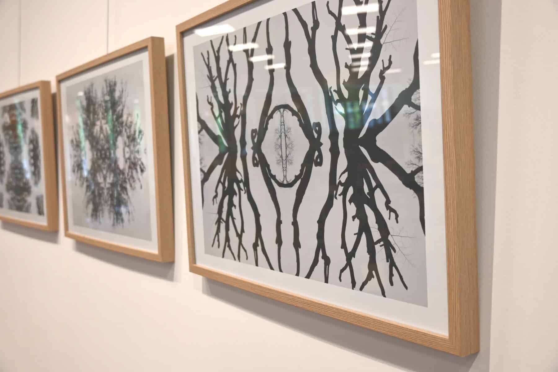 Expositie Laren Koos Koopmans Fotografie en grafiek