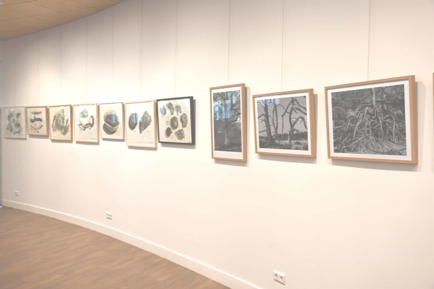 Expositie Laren Koos Koopmans Fotografie en grafiek