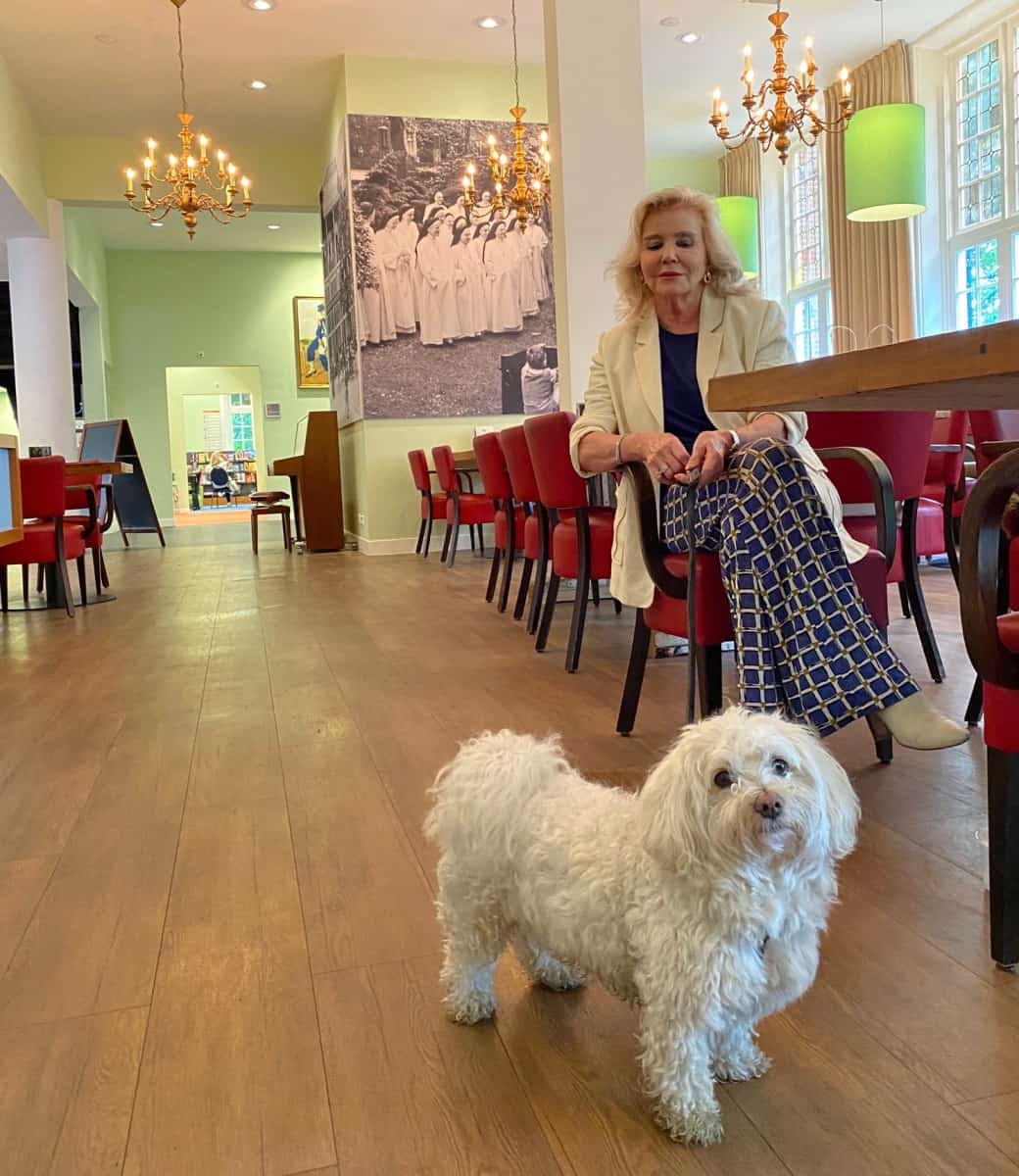 Honden Welkom In Het Brinkhuis Honden Welkom In Het Brinkhuis