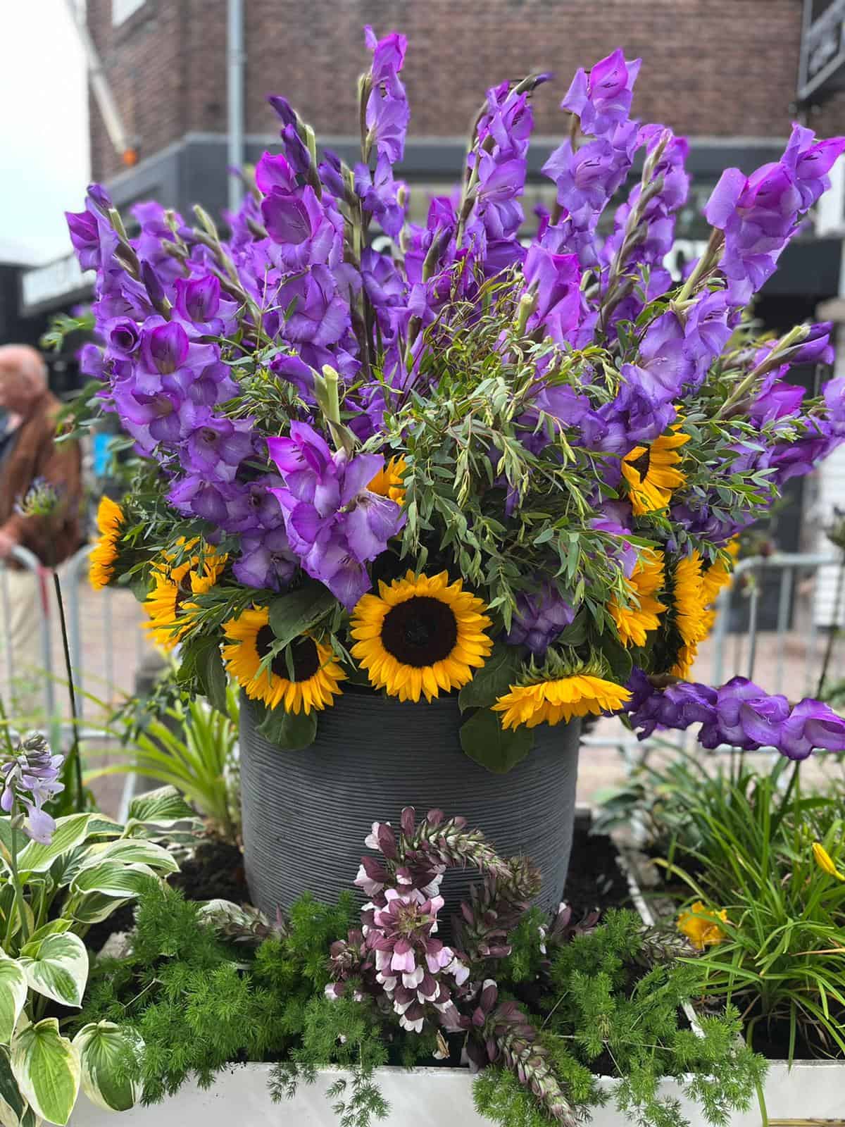 St Jansprocessie Laren - 26 juni 2022