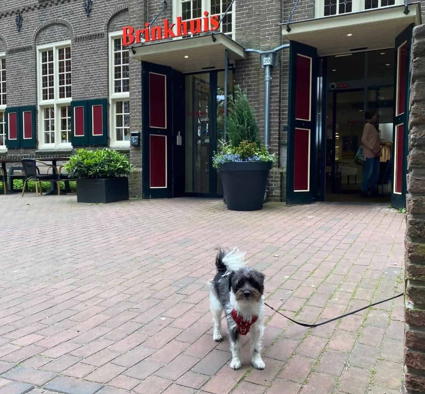 brinkhuis laren – honden welkom brinkhuis laren - honden welkom