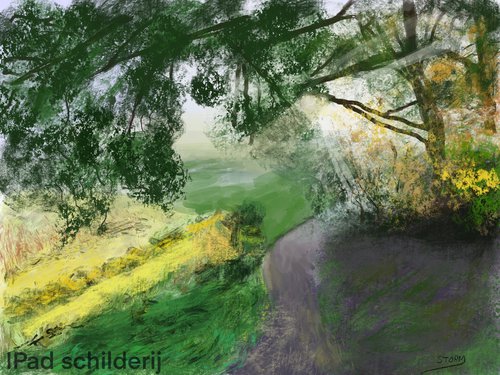 Henk Storm Gooische Academie