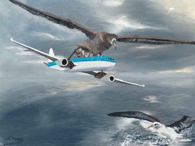 Henk Storm Gooise Academie En Kunstenaar