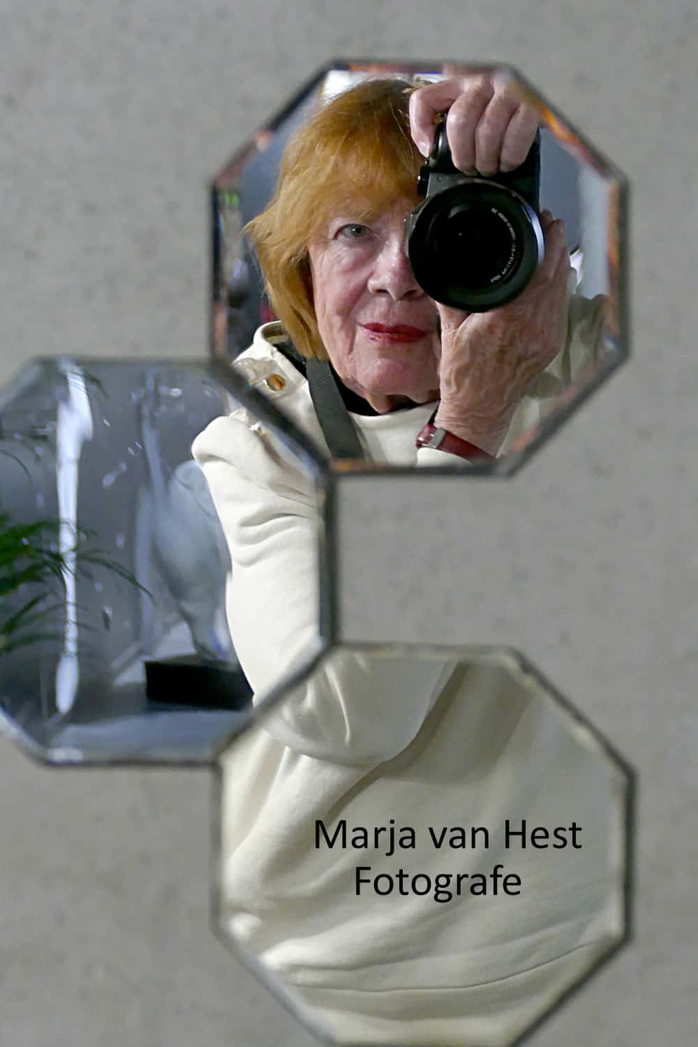 Expositie Brinkhuis Laren - foto's van Marja van Hest