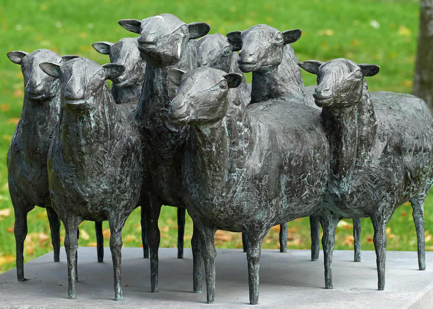 Expositie Brinkhuis Laren Tineke Bot - Schapen