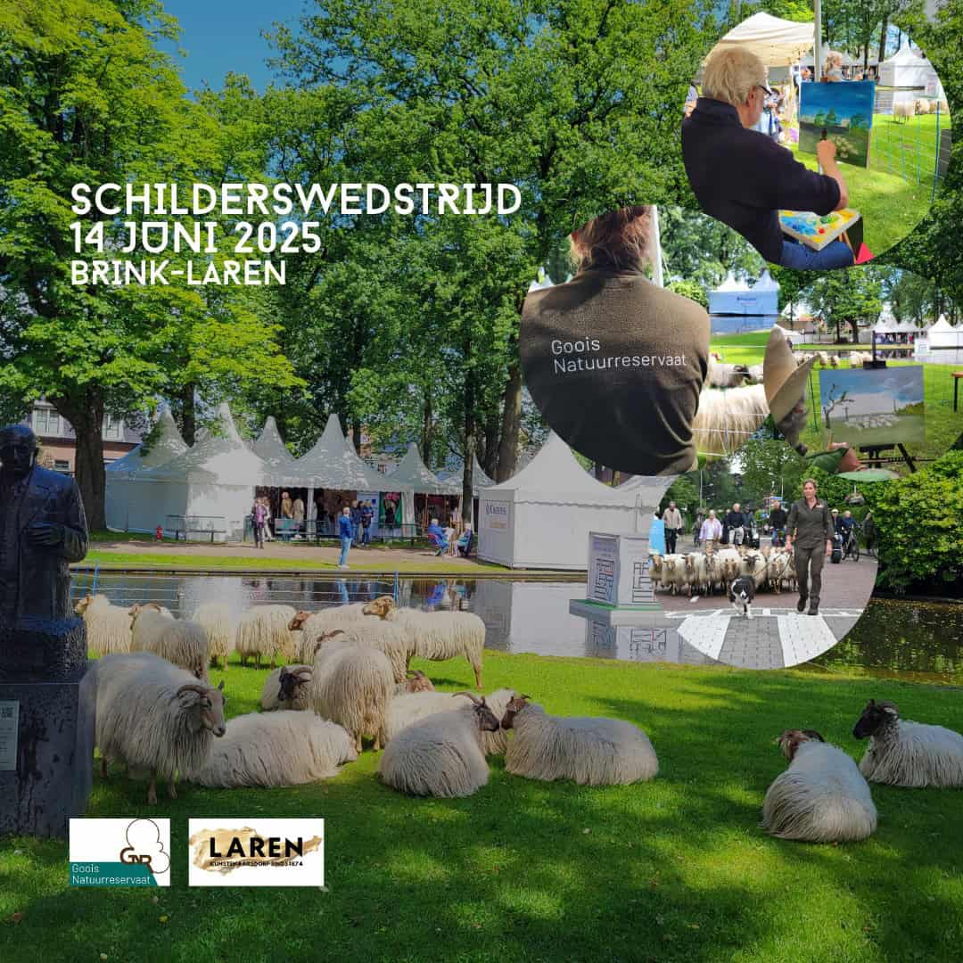 Schilderwedstrijd Laren - schilder de schaapskudde van GNR