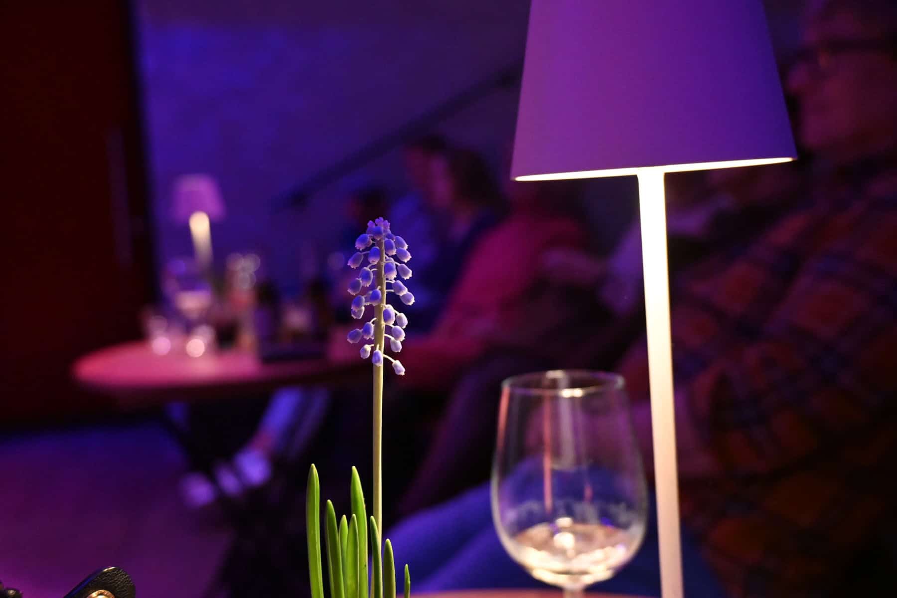 Stand-up Comedy Brinkhuis Laren Stand-up Comedy Brinkhuis Laren