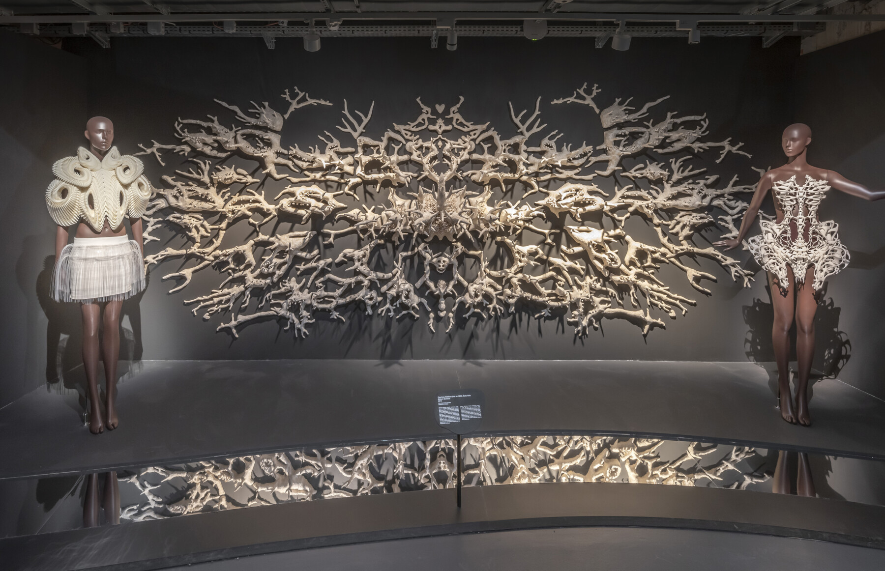 Iris Van Herpen Sculpting The Senses