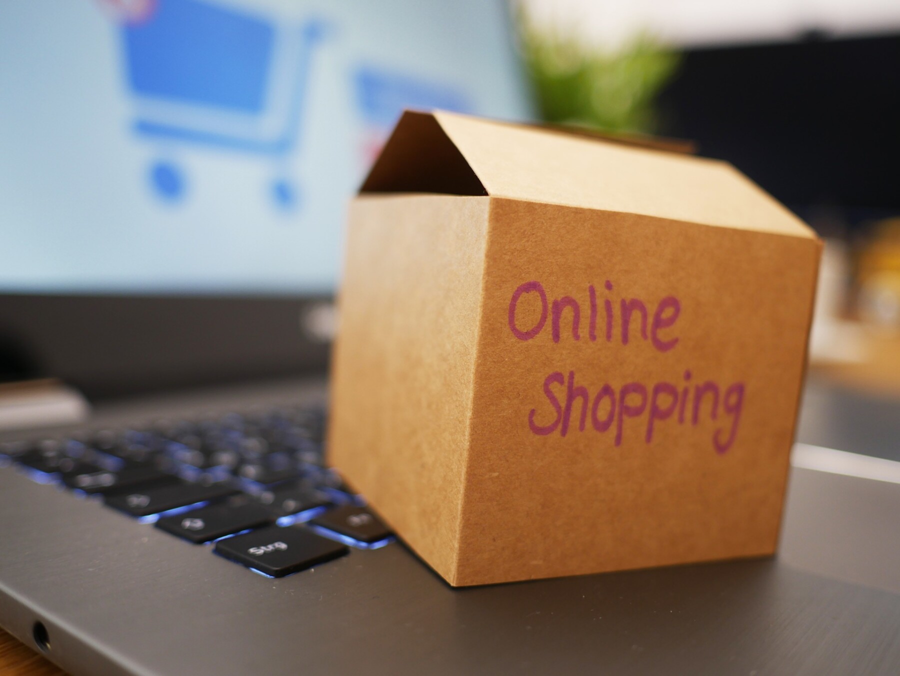 Digiworkshop: online winkelen Bibliotheek Gooi+ in Brinkhuis Laren