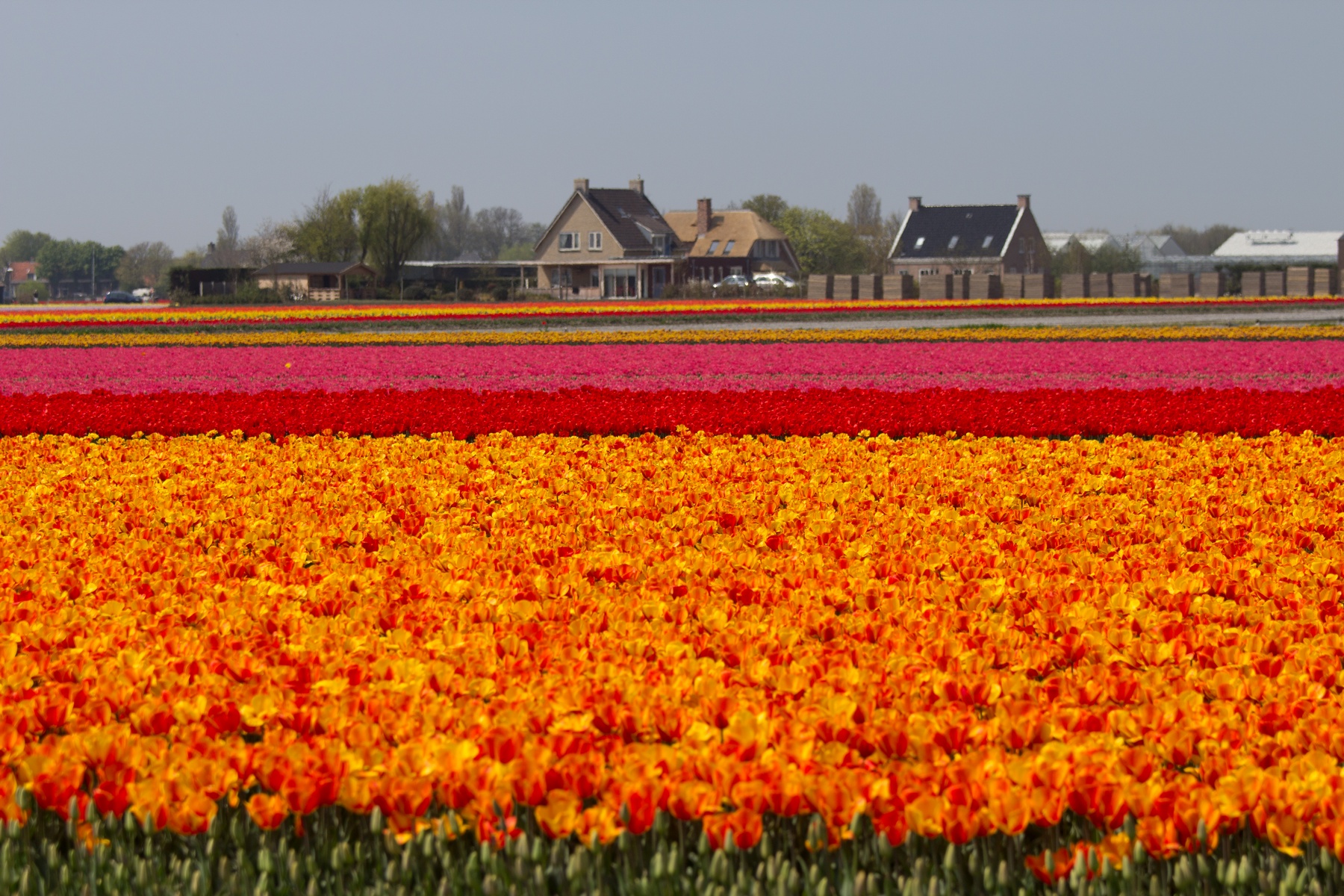 Talencursus Dutch for non Dutch Volksuniversiteit het Gooi in Brinkhuis Laren