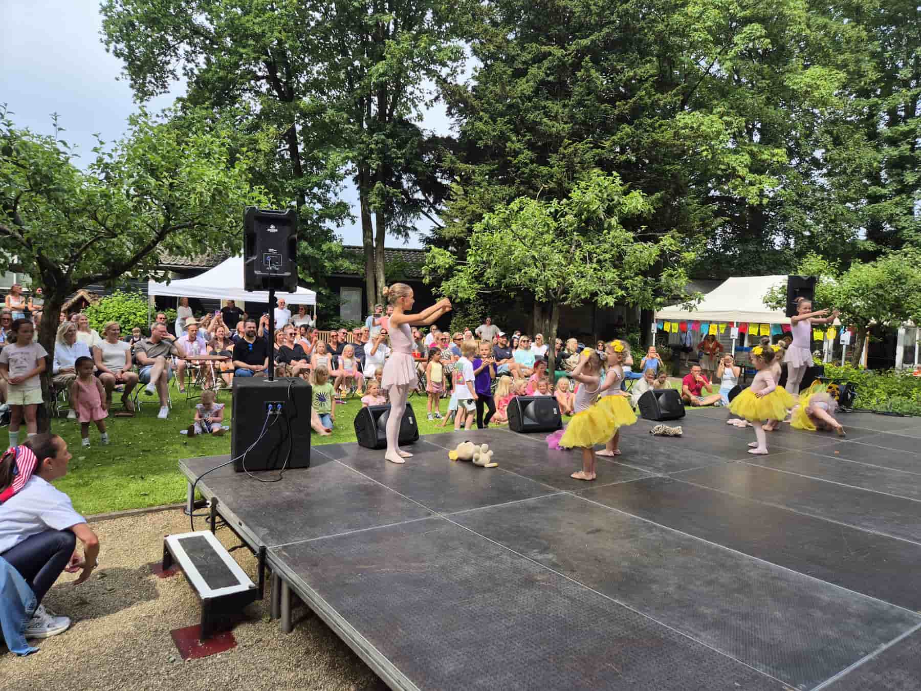 Zomer Muziek en Dans Festival Laren 2026 – Dans demonstraties Flash Studio Laren Zomer Muziek en Dans Festival Laren 2026 - Dans demonstraties Flash Studio Laren