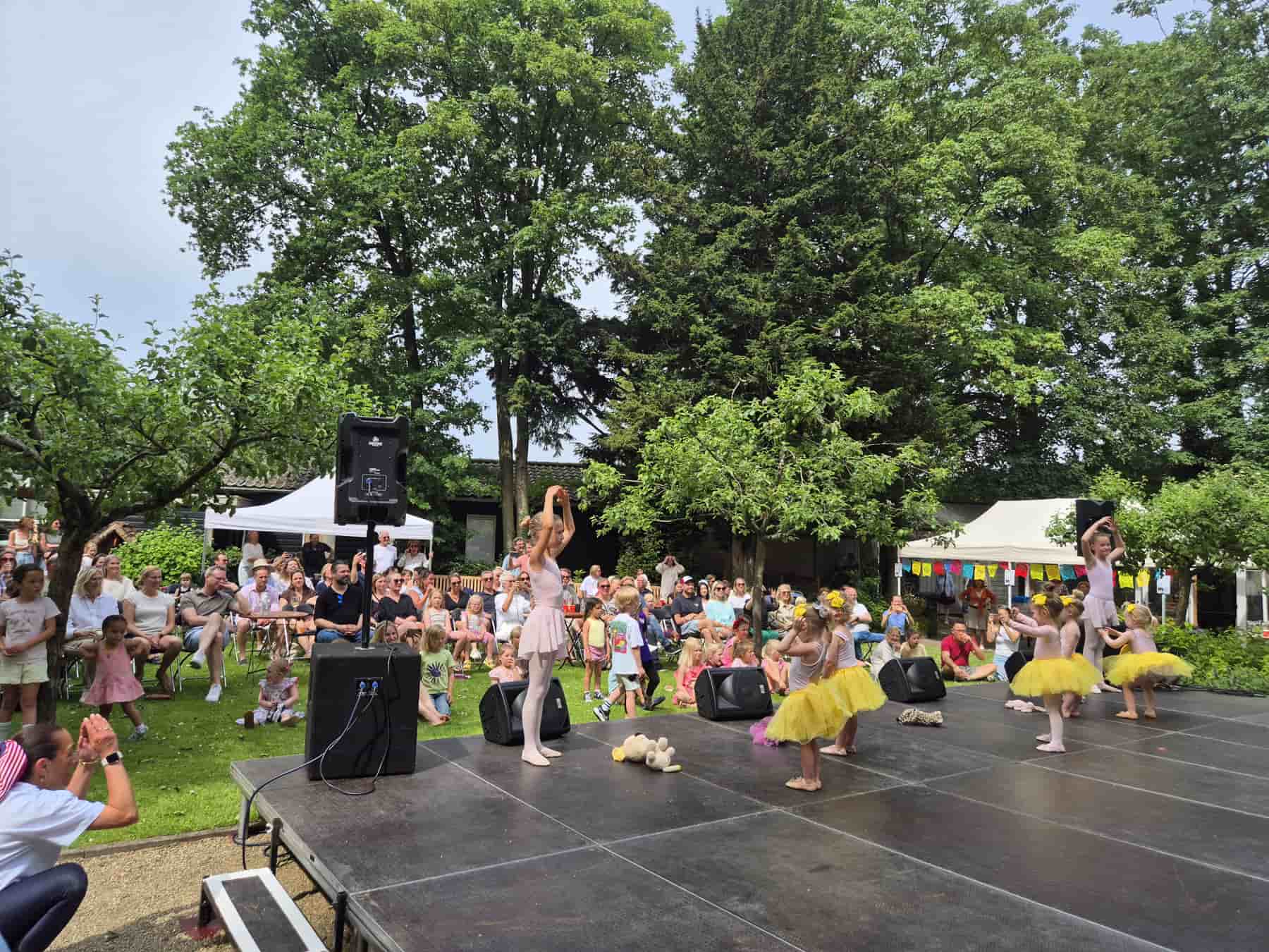 Zomer Muziek en Dans Festival Laren 2026 – Dans demonstraties Flash Studio Laren Zomer Muziek en Dans Festival Laren 2026 - Dans demonstraties Flash Studio Laren